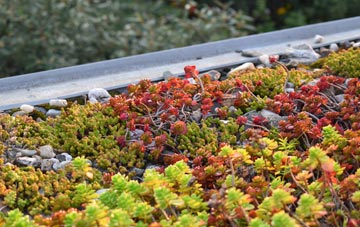 the cost of Long Ashton green roof installation