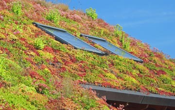 Long Ashton living roof systems